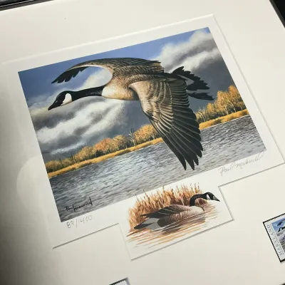 Sale Photo Thumbnail #329