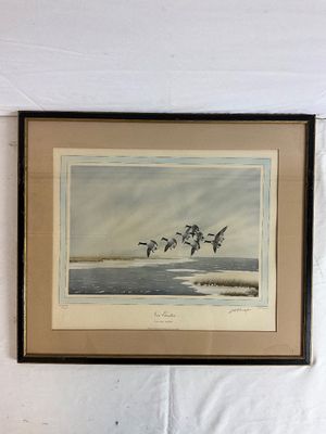 1934 Signed J.D. Knap Print "Nor' Easter Canada Geese" Limited Edition 86/260