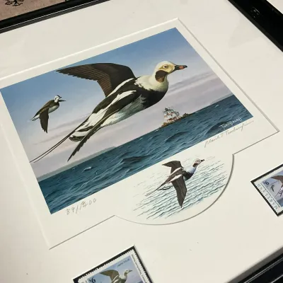 Sale Photo Thumbnail #340
