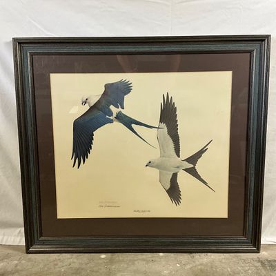 3709 William Zimmerman Signed "Swallow-tailed Kite" Framed Art Print