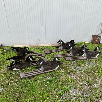 Vintage Canada Goose Silhouettes and Folding Decoy Rig System