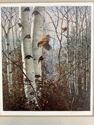 David A. Maass Signed Wildlife Print - Woodcock in Birch Forest