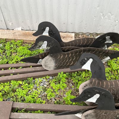 Vintage Canada Goose Silhouettes and Folding Decoy Rig System