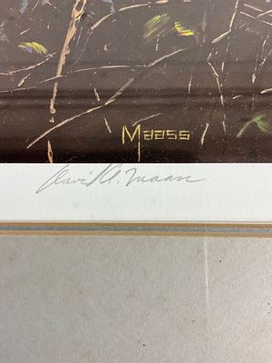 David A. Maass Signed Wildlife Print - Woodcock in Birch Forest