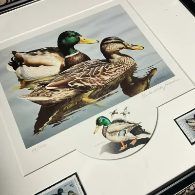 Sale Photo Thumbnail #327