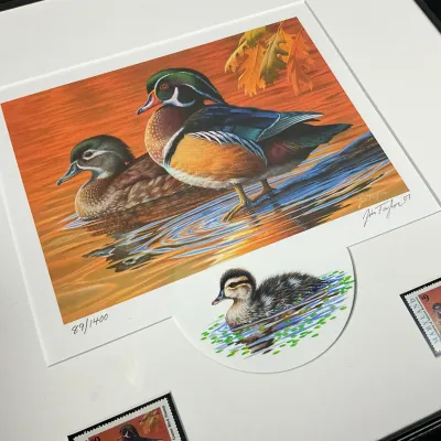 Sale Photo Thumbnail #335