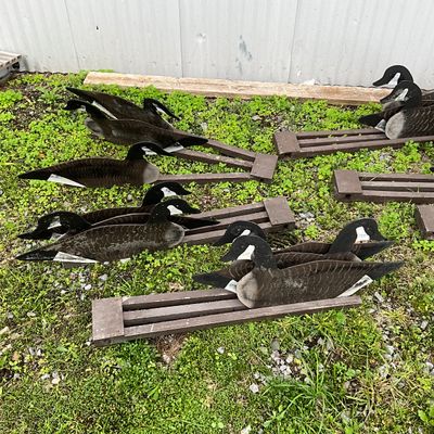 Vintage Canada Goose Silhouettes and Folding Decoy Rig System