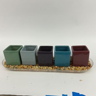 3620 Faux Potted Herbs and Plants on Pebble Tray and Set of 5 Colorful Square Ceramic Planters with Pebble Display Tray