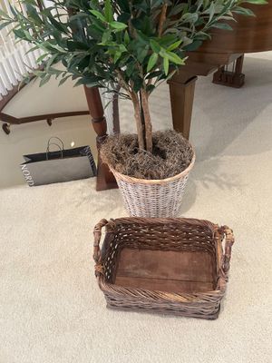 FAUX FICUS TREE AND ACCENTING WICKER BASKET