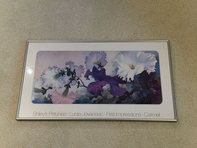 LUCIJA JOVANOVIC “SHILEY’S PETUNIAS” FRAMED PICTURE