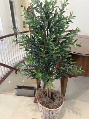 FAUX FICUS TREE AND ACCENTING WICKER BASKET