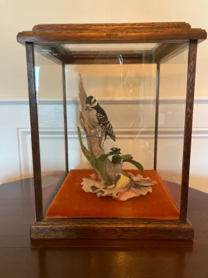 Limited Edition Porcelain Boehm Downy Woodpecker (leaf has been glued)
