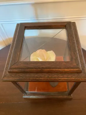 Limited Edition Vintage Boehm Porcelain & Bronze Peace Rose. (Display case top has crack)