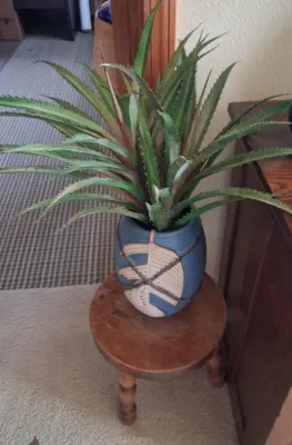 Sale Photo Thumbnail #22