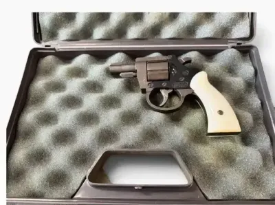 LH301FA1 - H&R Arms Co. .22 Caliber Double-Action Revolver