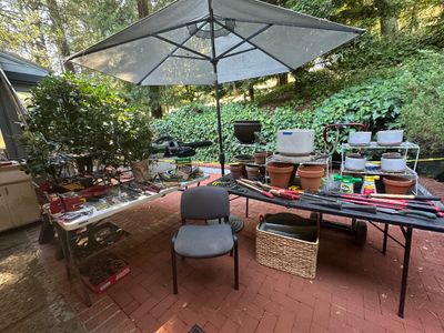 Sale Photo Thumbnail #495