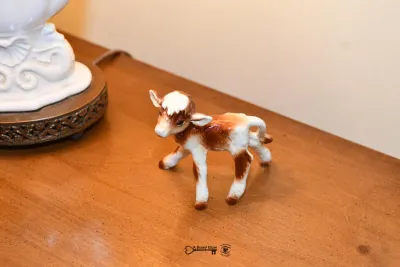 11 landing 7