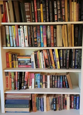 HUGE COLLECTION OF HARDCOVER AND PAPERBACK BOOKS (2)