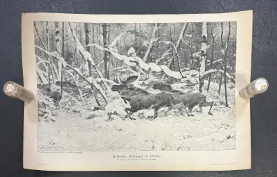 Sale Photo Thumbnail #182