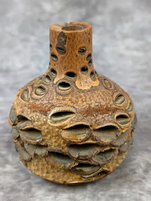 Hand-turned Banksia pod bud vase, showcasing the natural seed cavities and textured exterior of the Australian native cone.