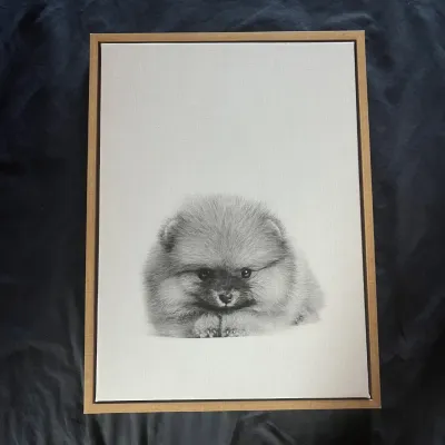 Sale Photo Thumbnail #101: 103 simon te pomeranian puppy framed canvas art print
