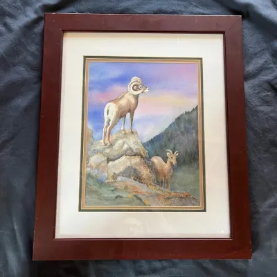 Sale Photo Thumbnail #95: 95 rita summers signed bighorn sheep framed wildlife artwork aurora co