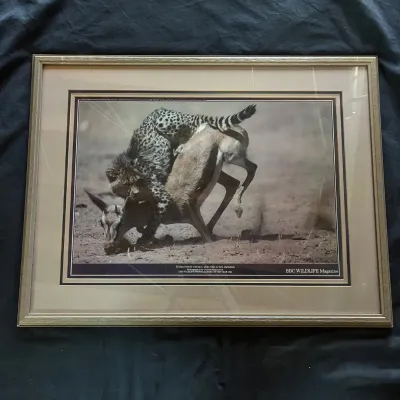 Sale Photo Thumbnail #63