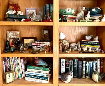 Wooden bookshelves filled with a collection of vintage books, ceramic bird and cat figurines, and decorative art pieces.