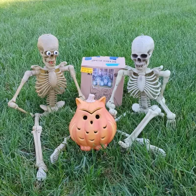LOT 109: Inflatable 6ft Grave Stones, Light-Up Owl Pumpkin and Plastic Skeletons