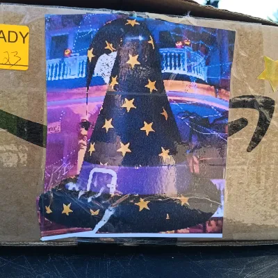 LOT 111: Inflatable 5.5ft Witch and Witch Hat