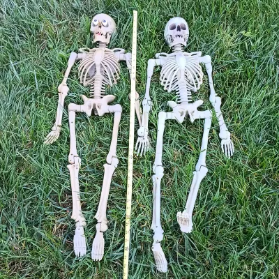 LOT 109: Inflatable 6ft Grave Stones, Light-Up Owl Pumpkin and Plastic Skeletons