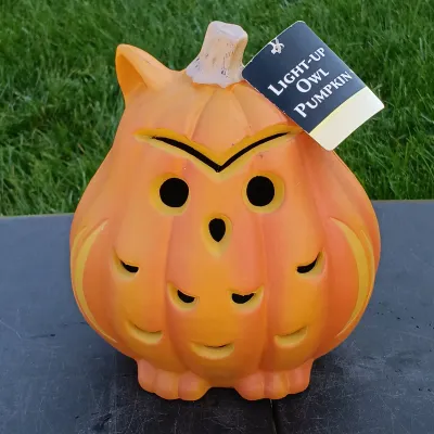 LOT 109: Inflatable 6ft Grave Stones, Light-Up Owl Pumpkin and Plastic Skeletons