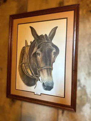 Framed portrait print of a harnessed mule named 'Beck', presented in a double mat and a dark wood frame.