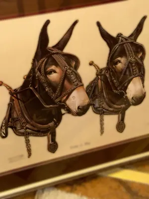 Framed vintage print depicting a pair of harnessed mules in detailed tack, presented under glass.