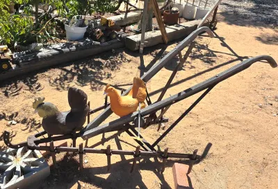 Vintage walk-behind garden cultivator with wooden handles and metal tines, decorated with two plastic chicken figures.