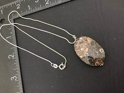 Sterling Silver Turritella Agate Fossil Pendant Necklace