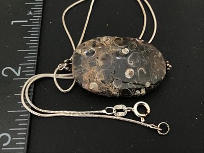 Sterling Silver Turritella Agate Fossil Pendant Necklace