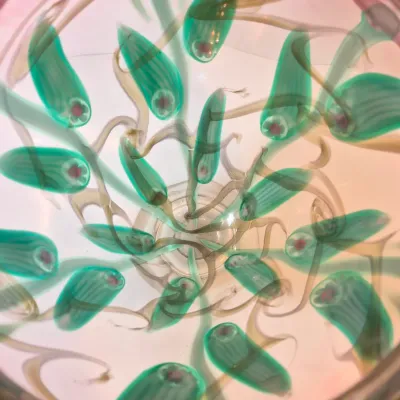 LOT 41: Vandermark Studios Floral Art Glass Vase by Doug Merritt & Stephen Smarr-HEAVY