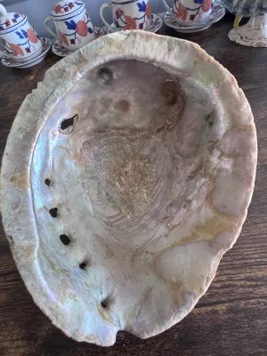 Sale Photo Thumbnail #142: A large, natural abalone shell featuring a highly iridescent mother-of-pearl interior with pink, green, and silver luster. The exterior is heavily textured with naturally attached barnacles, adding unique organic character. Shows natural wear, minor edge 