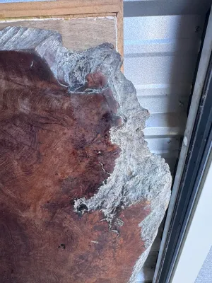 Sale Photo Thumbnail #24: A substantial, thick-cut live edge redwood burl wood slab featuring rich reddish-brown tones, prominent growth rings, and natural textured bark edges. This rustic piece is ideal for a custom coffee table, console top, or wall art. It measures approximatel