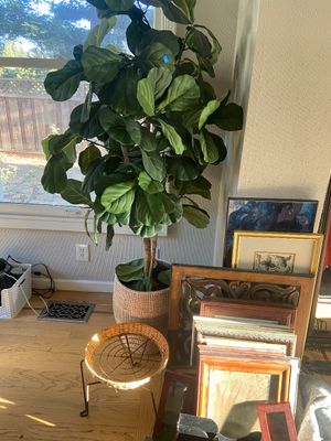 Sale Photo Thumbnail #15