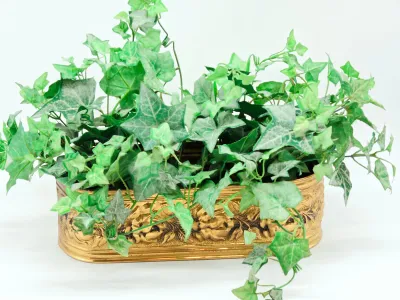 Faux green ivy plant arranged in an ornate, oval-shaped brass planter with embossed floral details.