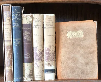 Collection of vintage books including works by William Shakespeare, Robert Louis Stevenson, and a suede-bound copy of Lucile, showing...