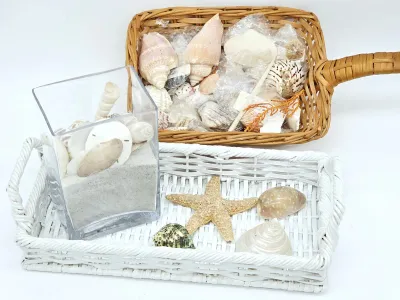 Collection of decorative seashells, sand dollars, and a starfish, displayed in a white wicker tray, a glass vase with sand, and a natural...