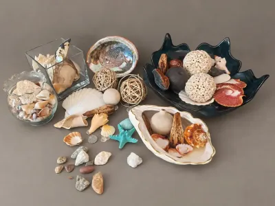 SHELL COLLECTION 