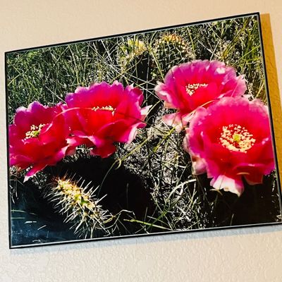 Sale Photo Thumbnail #50