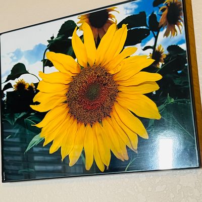 Sale Photo Thumbnail #51