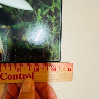 Sale Photo Thumbnail #53