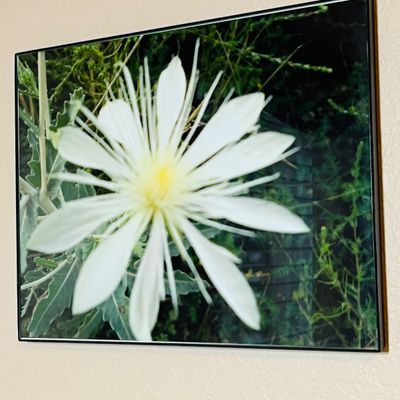 Sale Photo Thumbnail #52