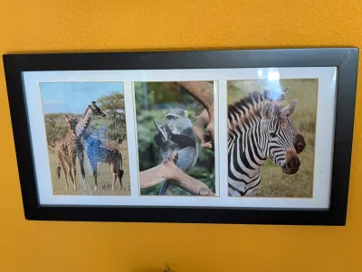 Framed triptych of African wildlife photographs, featuring giraffes, a monkey, and a zebra, housed in a black frame with white matting.